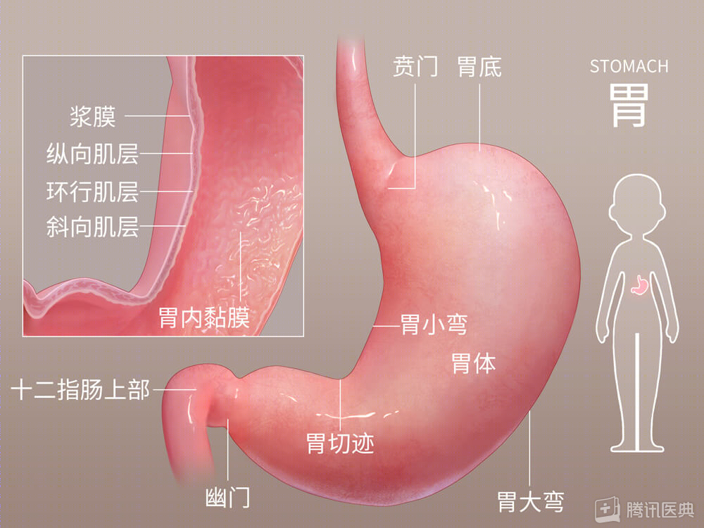 36歲女子，從胃痛到查出胃癌僅3周！醫(yī)生：這5類人最危險